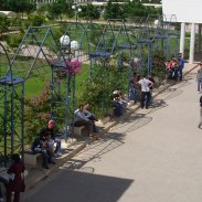 Campus universitaire de la Manouba